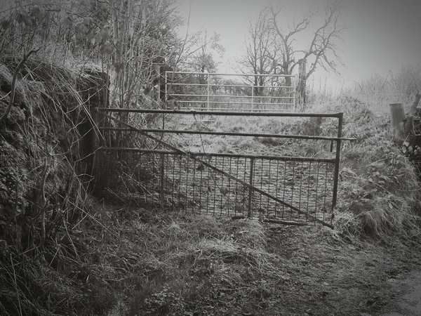 abandoned gate